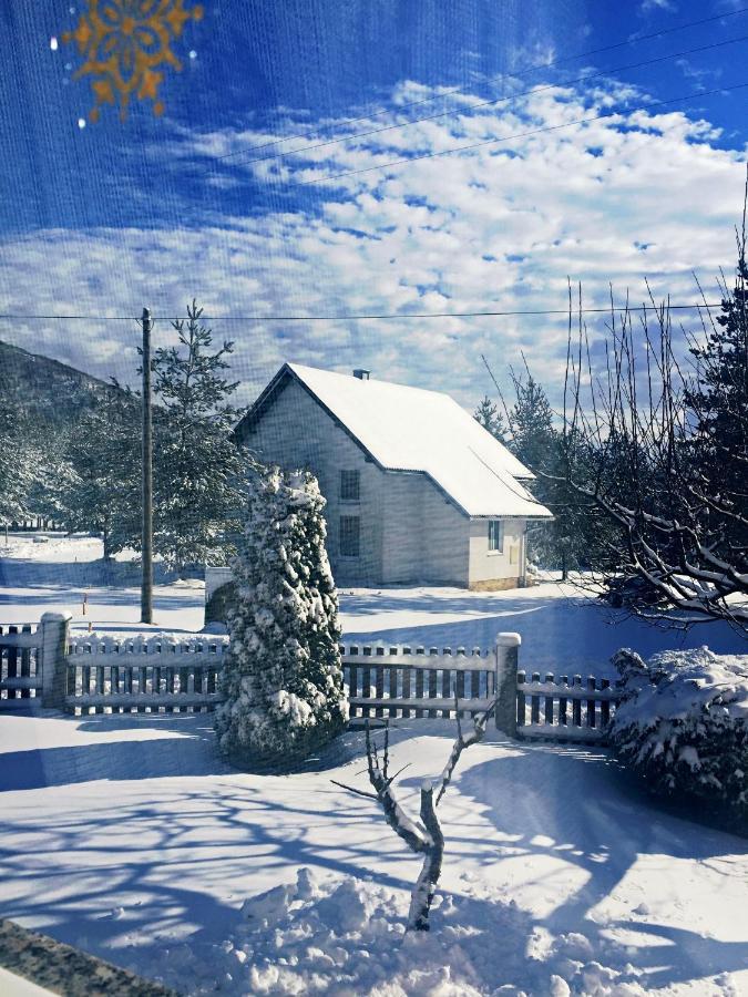 Guesthouse Kovacevic 科雷尼察 外观 照片